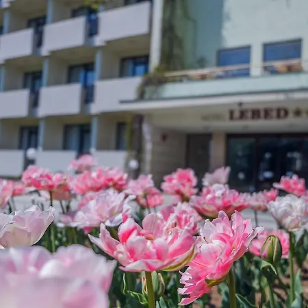 Lebed Святые Константин и Елена
